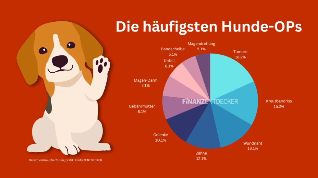 Die Besten OP-Versicherungen Für Hunde Im Vergleich (2024)