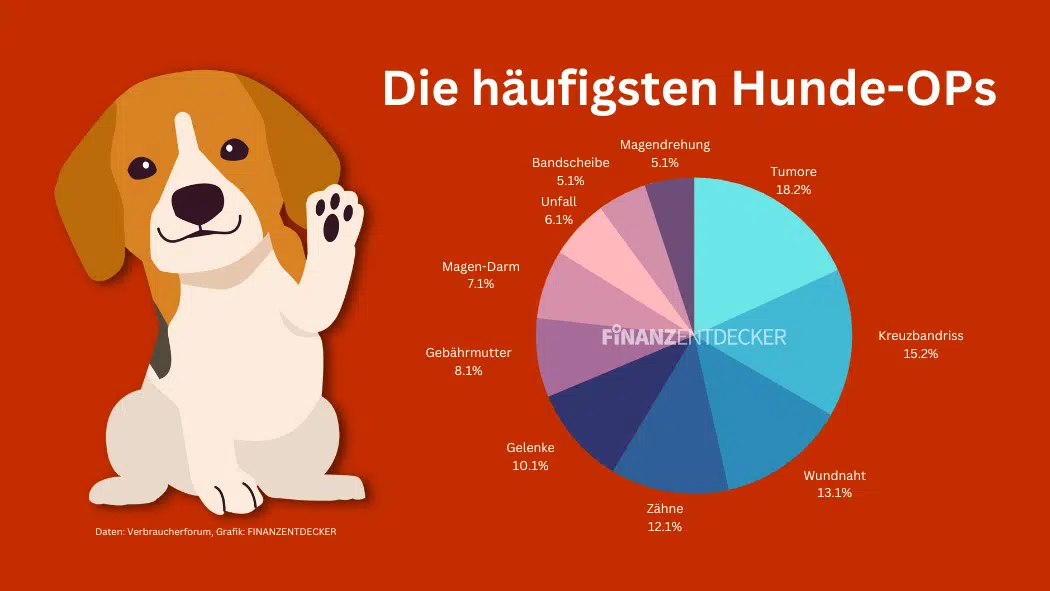 Die besten OP-Versicherungen für Hunde Hunde-OP-Versicherung Vergleich Test Erfahrungen Empfehlung Statstiken